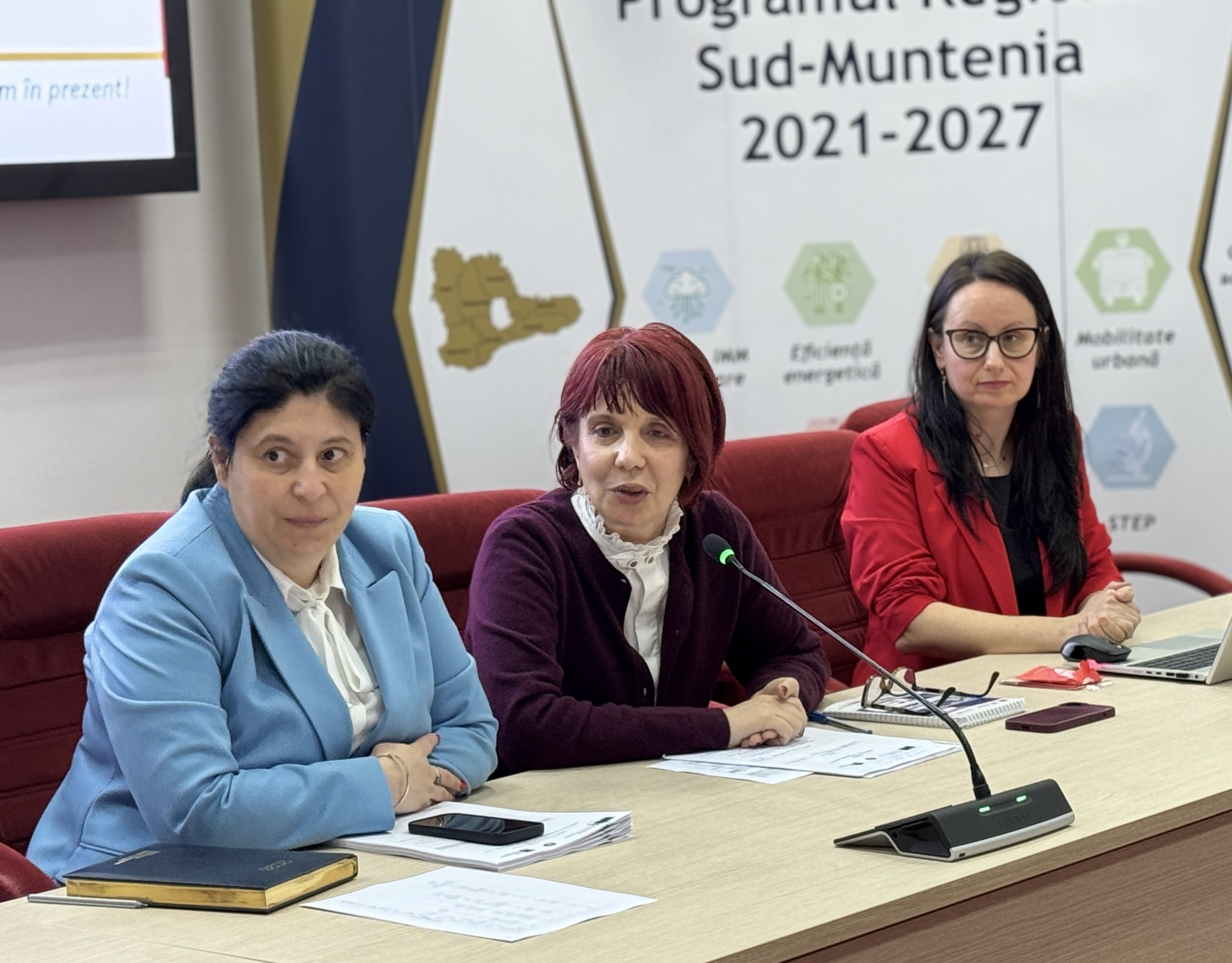 Coordonare regională pentru eficientizarea activității Autorităților Teritoriale din Sud-Muntenia